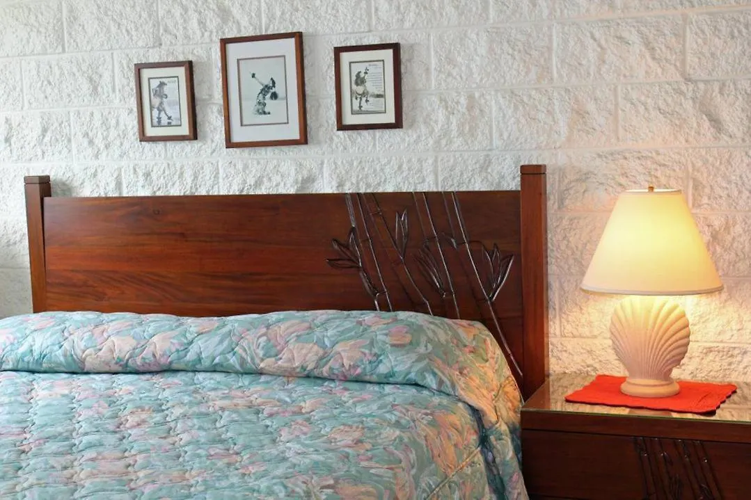 Kanai A Nalu Resort 316 Wailuku
