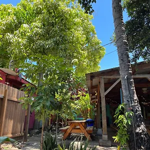 Banana Maui Wailuku